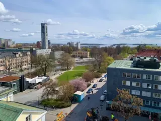 Utsikt från taket